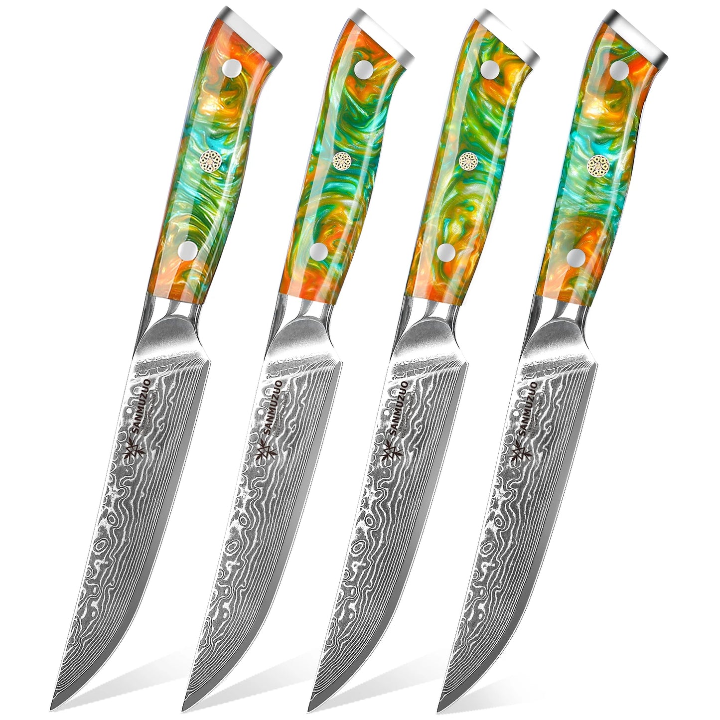 SANMUZUO 4PCS Steak Knifes - 5 Inch Knife Damascus Steel Kitchen Knifes - Resin Handle
