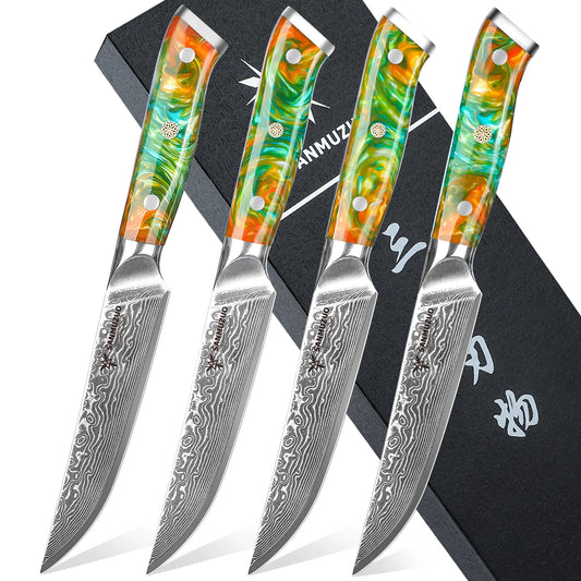SANMUZUO 4PCS Steak Knifes - 5 Inch Knife Damascus Steel Kitchen Knifes - Resin Handle