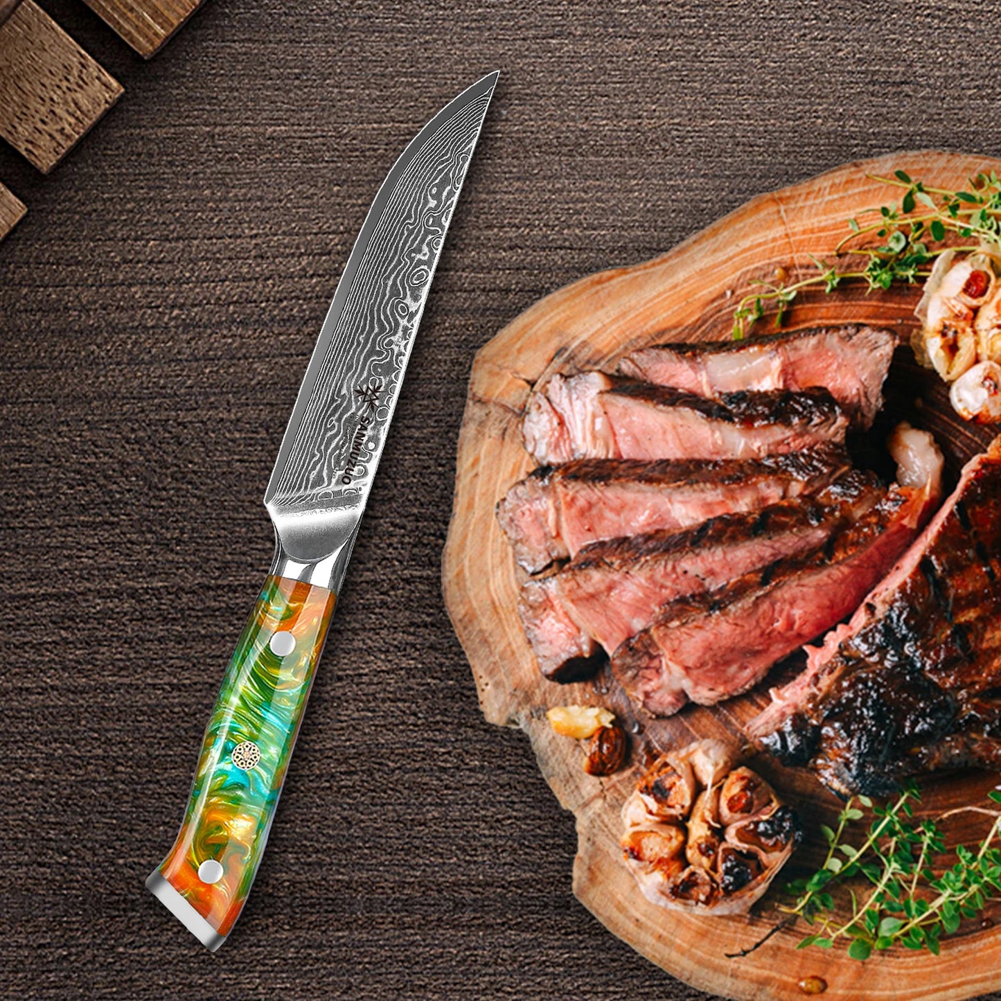 SANMUZUO 4PCS Steak Knifes - 5 Inch Knife Damascus Steel Kitchen Knifes - Resin Handle